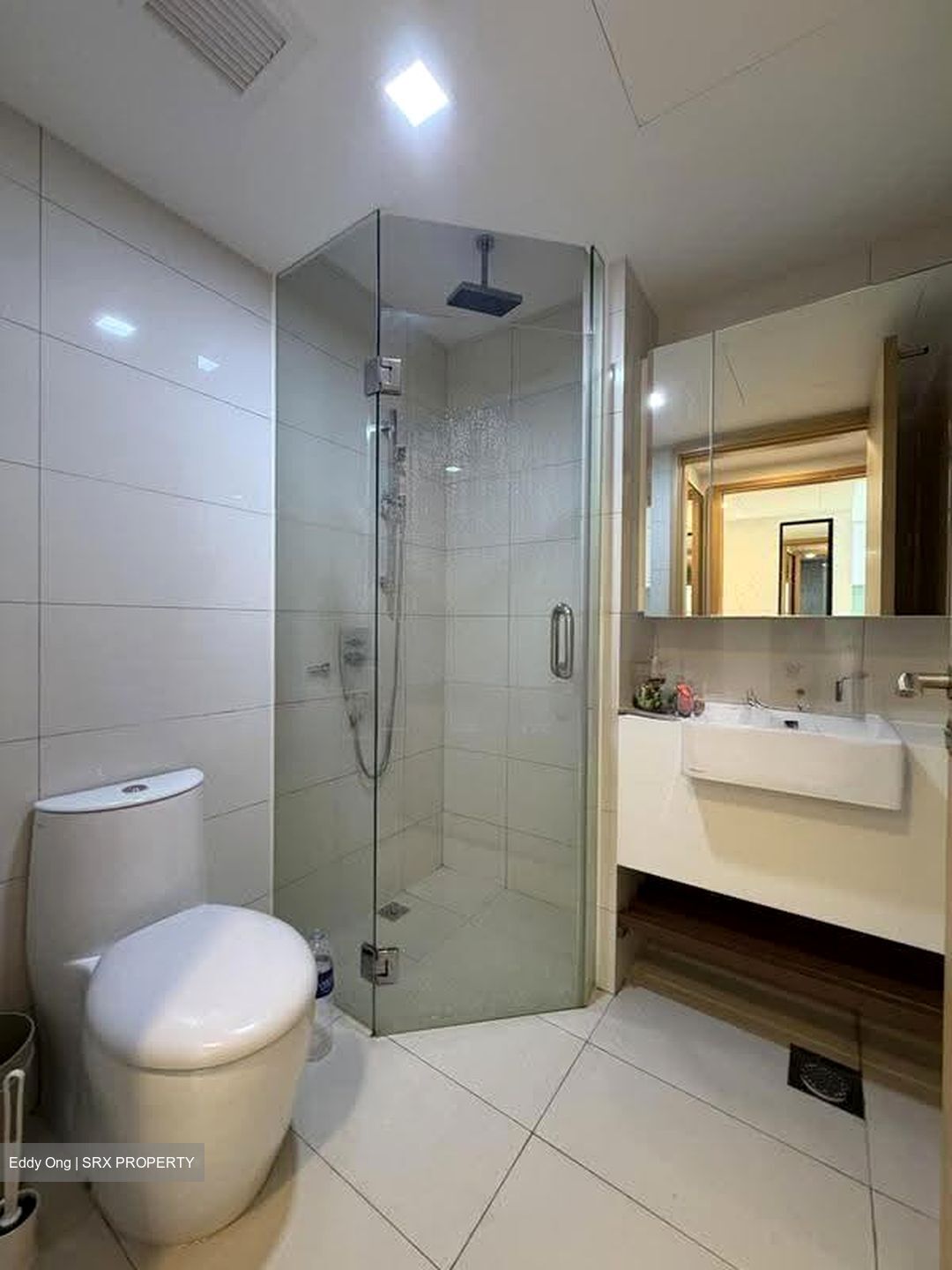 Eight Riversuites (D12), Condominium #621496291